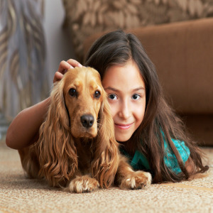 Young girl petting her cockerspaniel dog
