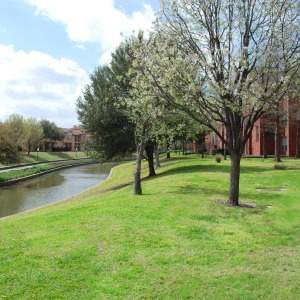 Back of property bordering the canal in spring