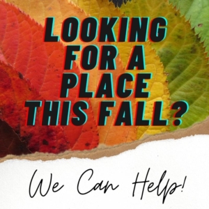 We Have Fall Availability