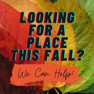 We have fall availability- call us